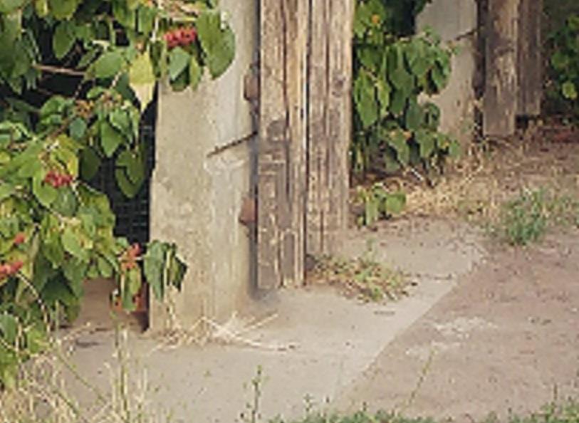 PROJEKT-FELITI-KASTRUJE-–-PŘIBĚH-č.2314.jpeg PROJEKT FELITI KASTRUJE – PŘIBĚH č.2314...