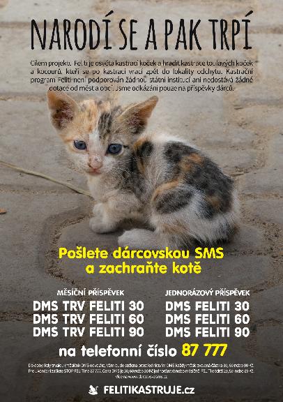 FELITI kastruje – Pomozte nám pomáhat…