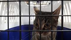 Není k dispozici žádný popis fotky.