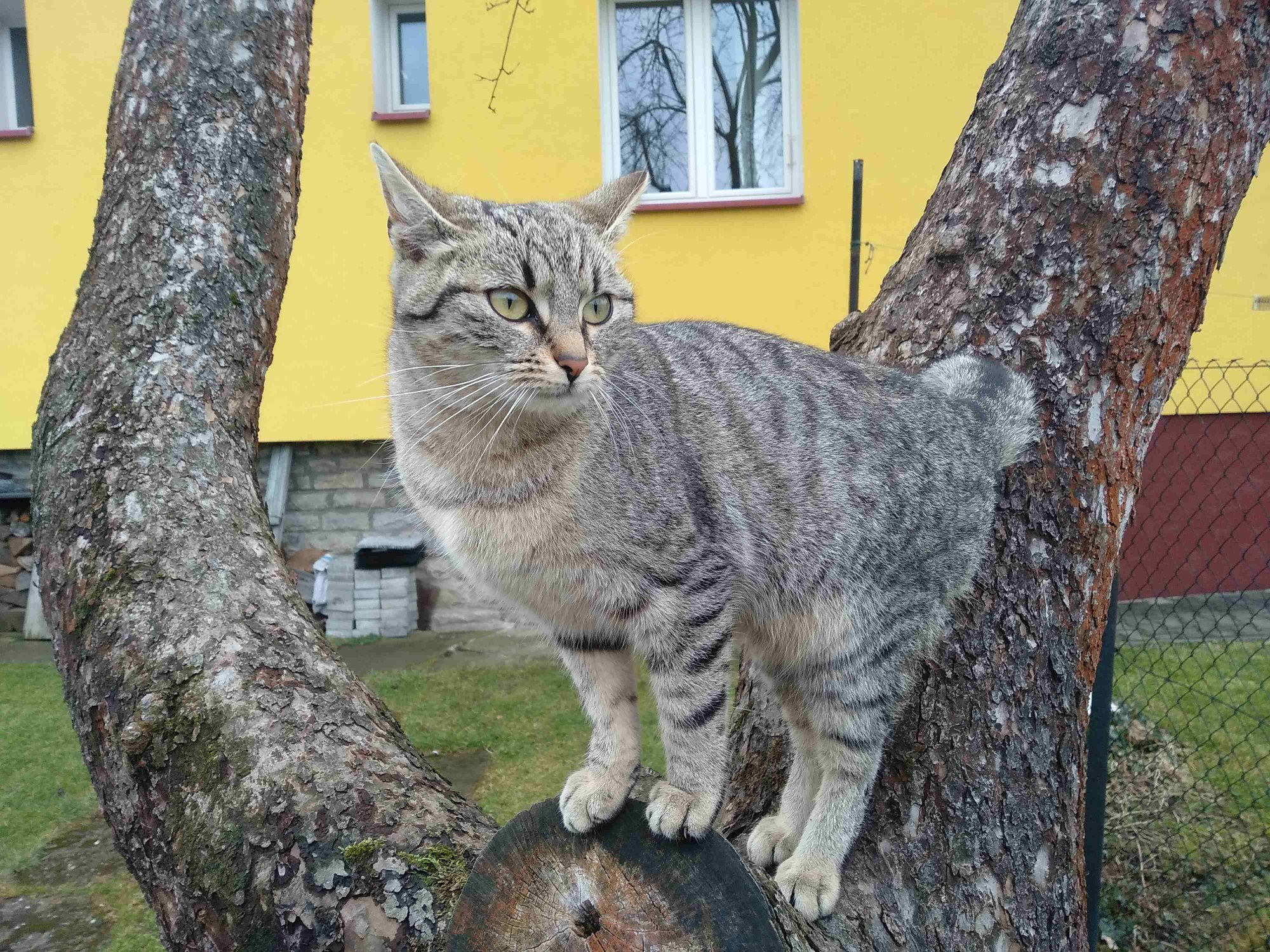 PROJEKT-FELITI-KASTRUJE-–-PRIBEH-c-6850.jpeg PROJEKT FELITI KASTRUJE – PŘÍBĚH č. 6850...