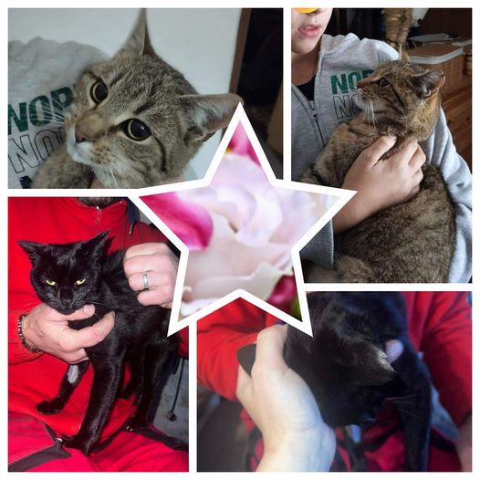 PROJEKT FELITI KASTRUJE – PŘÍBĚH č. 8640-8641
 10letá Barunka je velká milovnice...