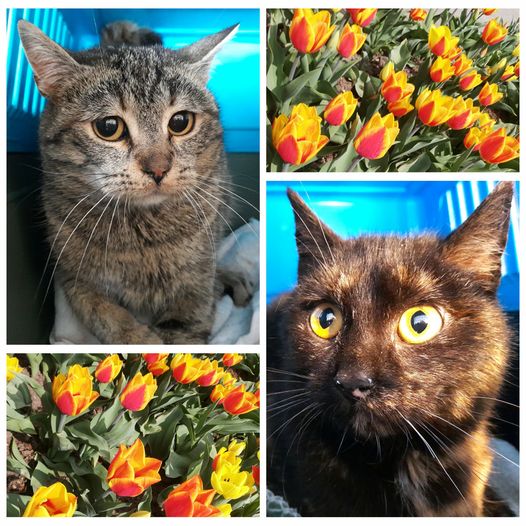 PROJEKT FELITI KASTRUJE – PŘÍBĚH č. 8958-8959 

Na Pardubicko jsme se opět vráti...