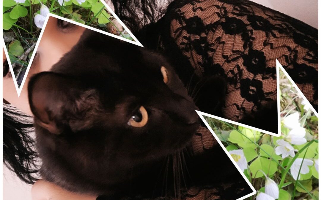 PROJEKT FELITI KASTRUJE – PŘÍBĚH č. 9044 

Na Liberecku potřebovala naši pomoc p…