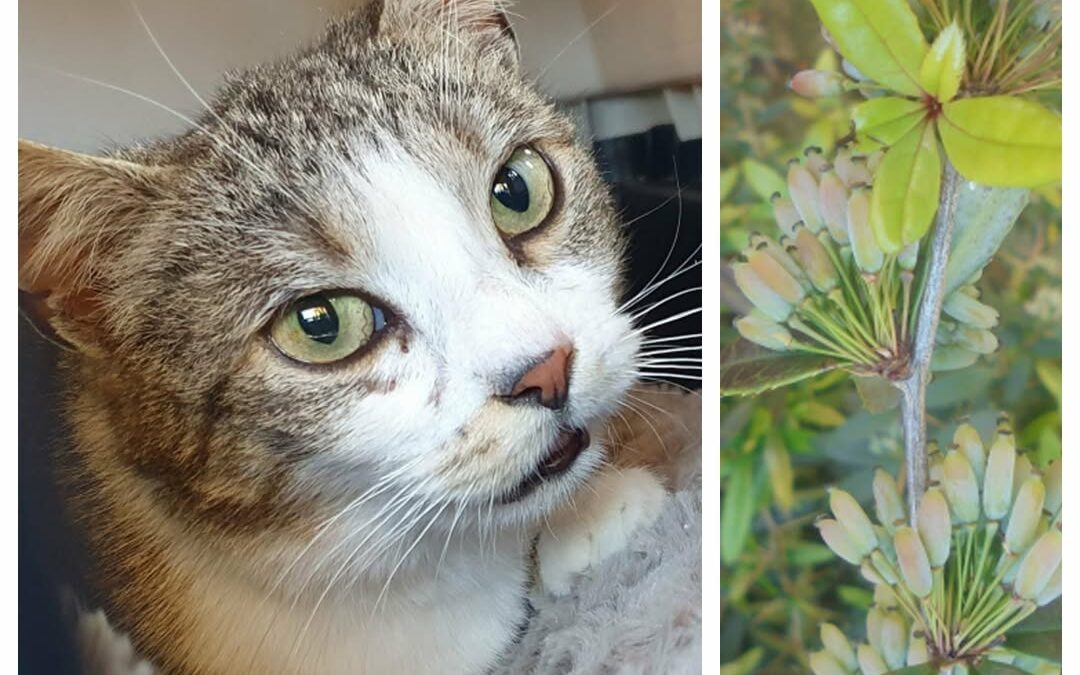 PROJEKT FELITI KASTRUJE – PŘÍBĚH č. 9863

Příběh, v němž pomoc potřebovala paní …