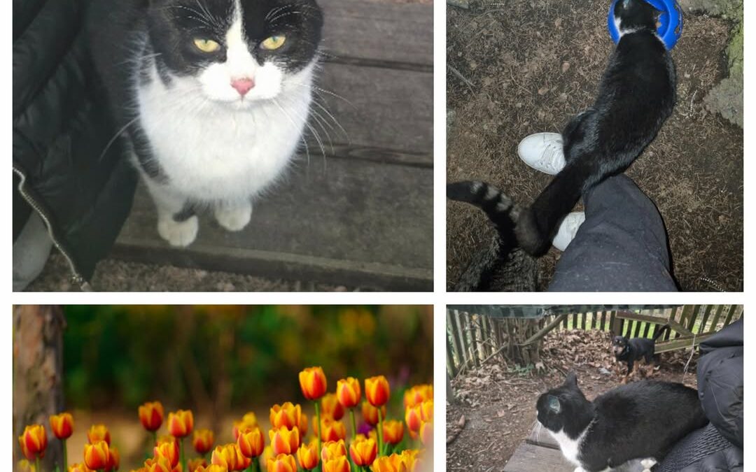 PROJEKT FELITI KASTRUJE – PŘÍBĚH č. 9864

Po delší době zde máme zase příběh z K…