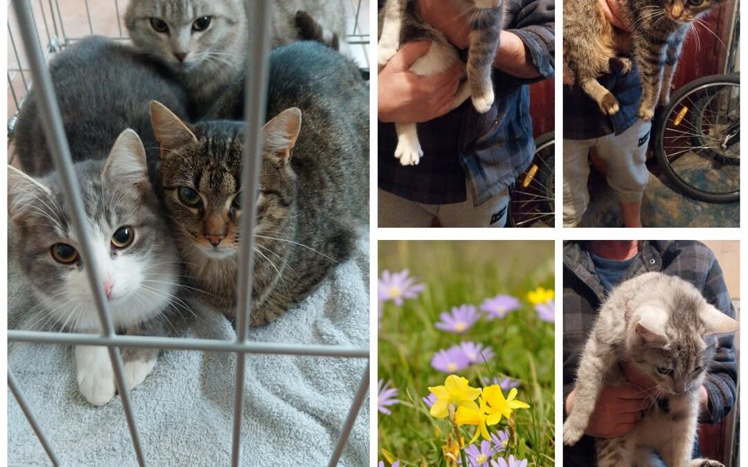 PROJEKT FELITI KASTRUJE – PŘÍBĚH č. 9924-9926

V tomto příběhu Olomouckého kraje…