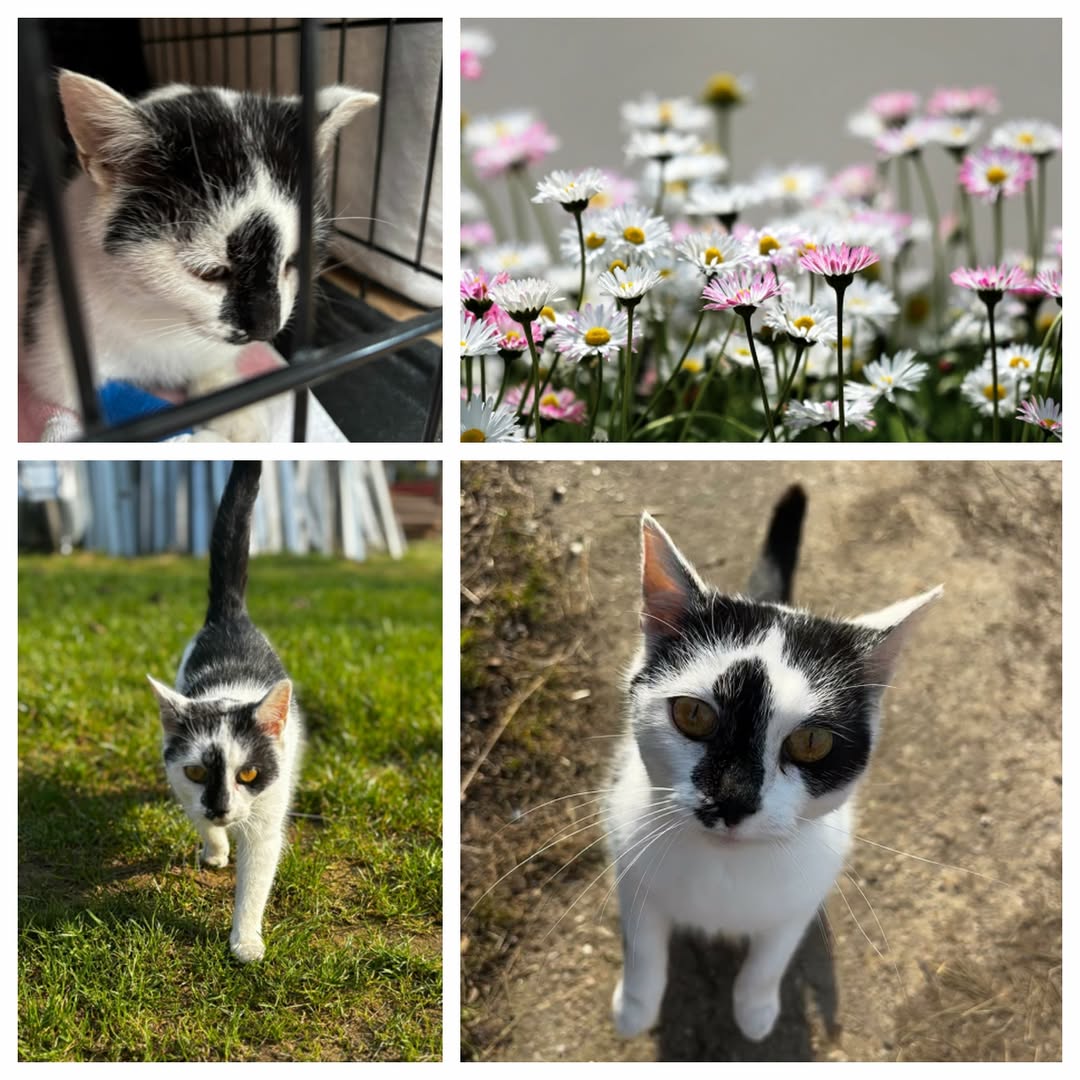 PROJEKT FELITI KASTRUJE – PŘÍBĚH č. 9946

V bývalé hospodářské budově, kterou má...