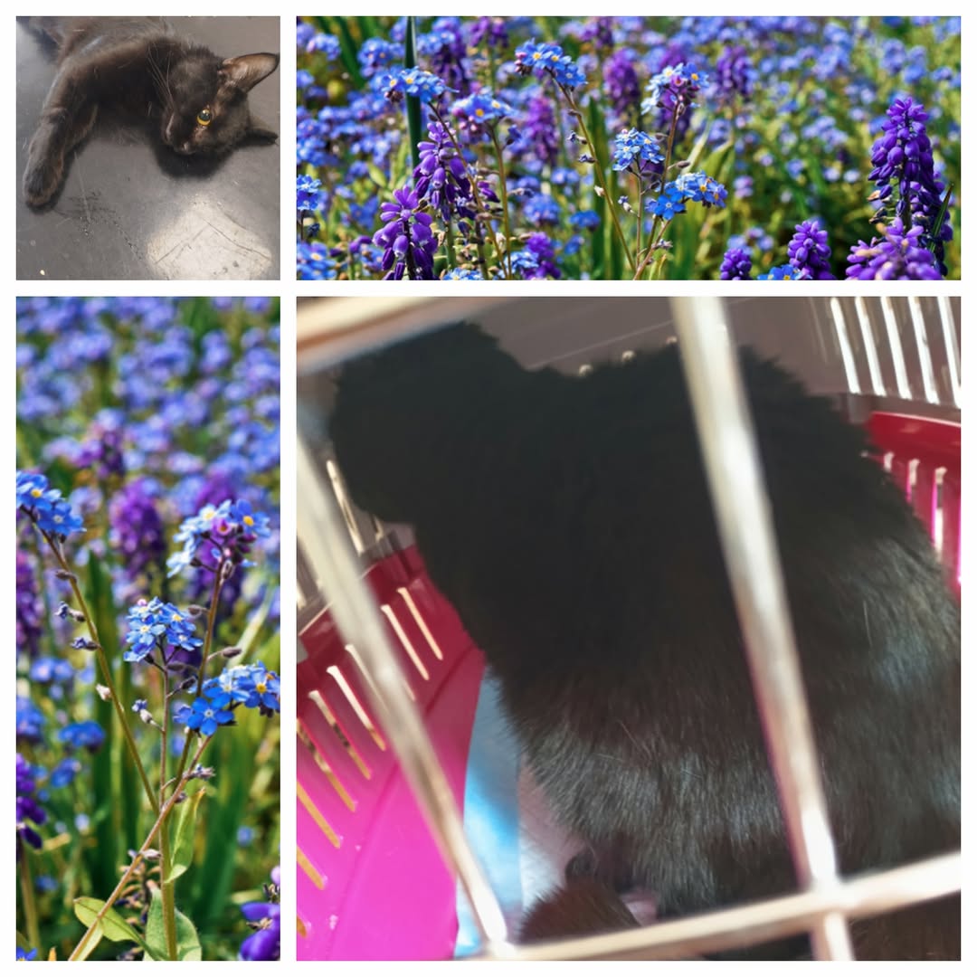 PROJEKT FELITI KASTRUJE – PŘÍBĚH č. 9947

Příběh paní Miroslavy nás zanese do čá...