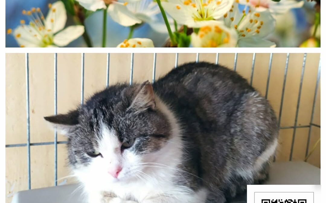 PROJEKT FELITI KASTRUJE – PŘÍBĚH č. 10 000

Tentokrát naše pomoc směřovala k pan…