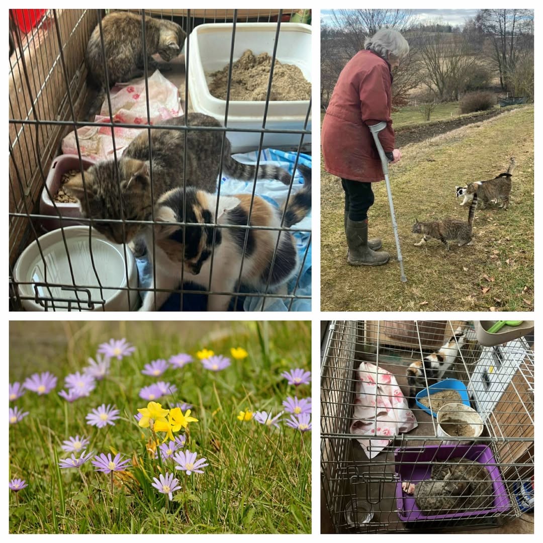 PROJEKT FELITI KASTRUJE – PŘÍBĚH č. 9966-9968

Tady se podíváme na Vysočinu za p...