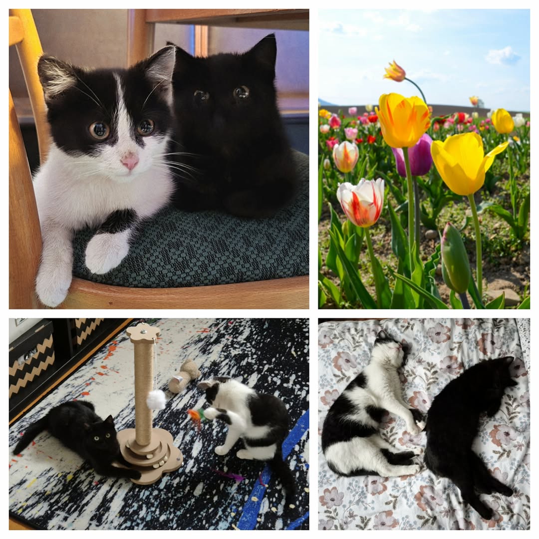 PROJEKT FELITI KASTRUJE – PŘÍBĚH č. 9969-9970

Z Olomoucka nám svůj příběh napsa...