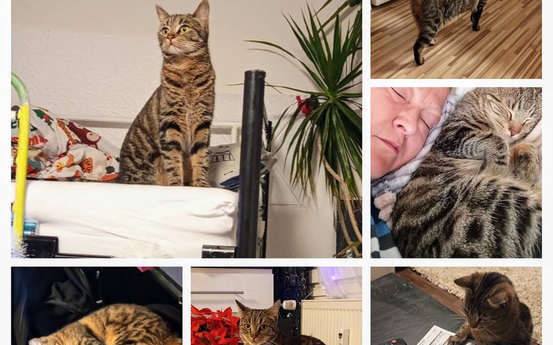 PROJEKT FELITI KASTRUJE – PŘÍBĚH č. 9979

Z Prahy je i další z našich příběhů. P…