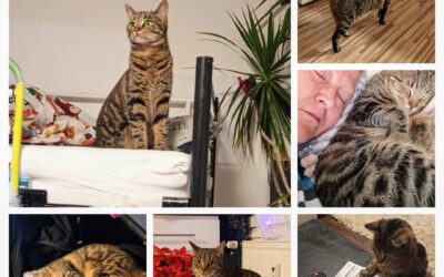 PROJEKT FELITI KASTRUJE – PŘÍBĚH č. 9979

Z Prahy je i další z našich příběhů. P…