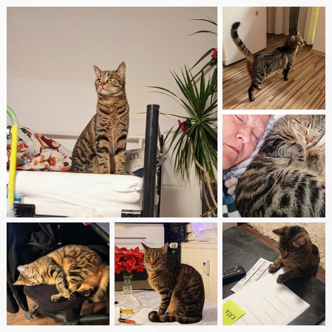 PROJEKT FELITI KASTRUJE – PŘÍBĚH č. 9979

Z Prahy je i další z našich příběhů. P...