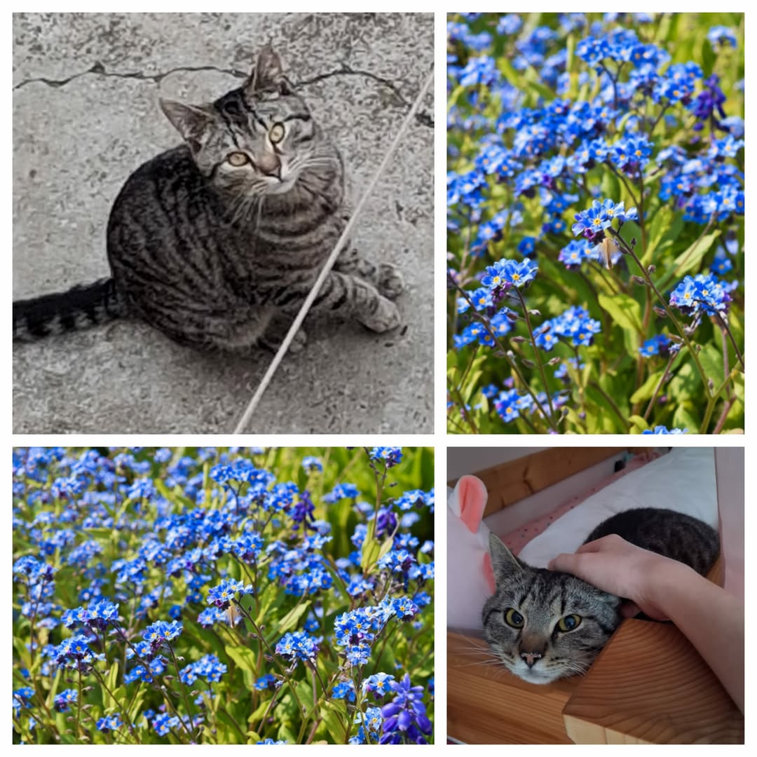 PROJEKT FELITI KASTRUJE – PŘÍBĚH č. 9986

Příběh paní Martiny začal jednoduše .....