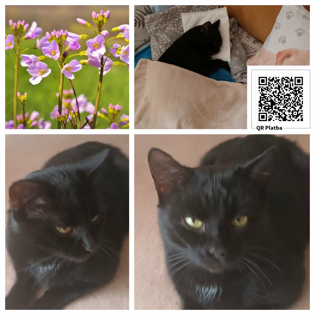 PROJEKT FELITI KASTRUJE – PŘÍBĚH č. 9994

Ostravsko přináší příběh paní Pavly.. ...