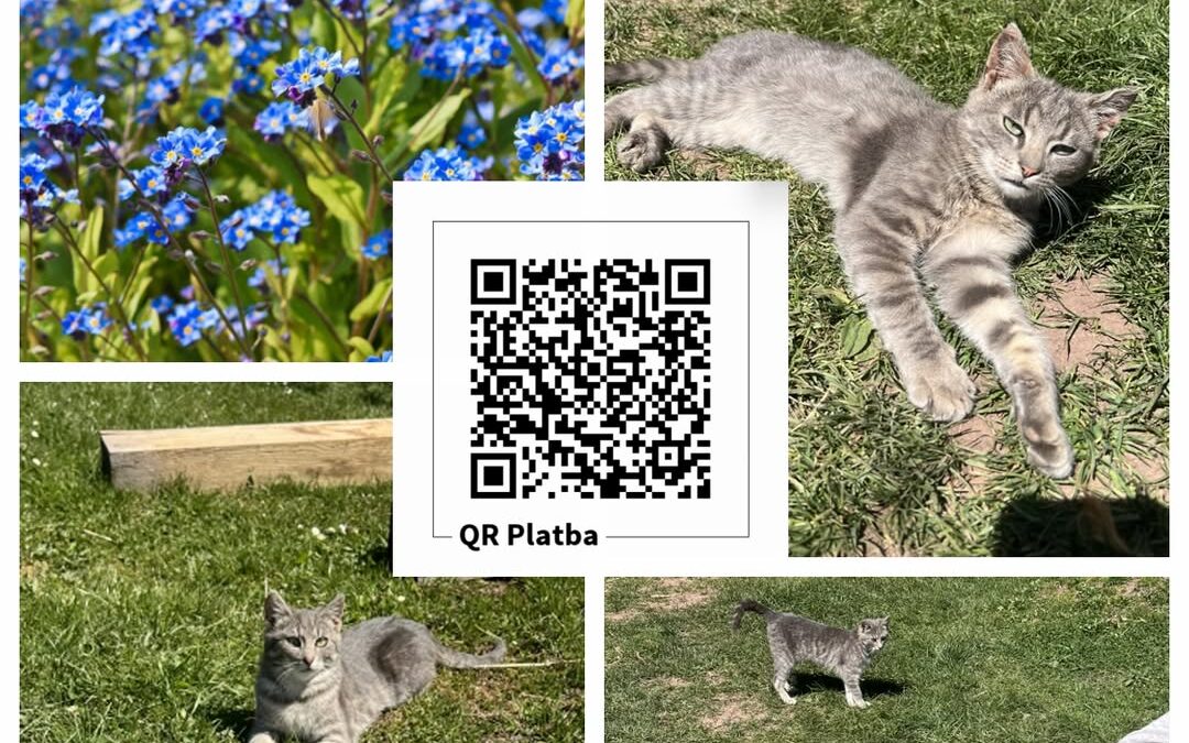 PROJEKT FELITI KASTRUJE – PŘÍBĚH č. 9998-9999

Zde k aktuálně nezaměstnanému pan…