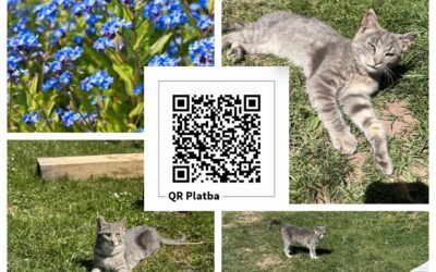 PROJEKT FELITI KASTRUJE – PŘÍBĚH č. 9998-9999

Zde k aktuálně nezaměstnanému pan…