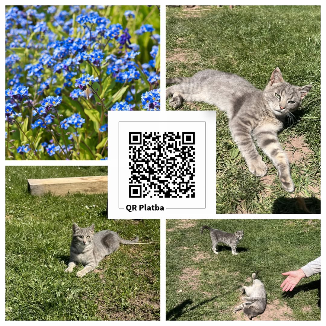 PROJEKT FELITI KASTRUJE – PŘÍBĚH č. 9998-9999

Zde k aktuálně nezaměstnanému pan...