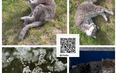 PROJEKT FELITI KASTRUJE – PŘÍBĚH č. 10021
Další náš příspěvek směřoval do Jihoč…