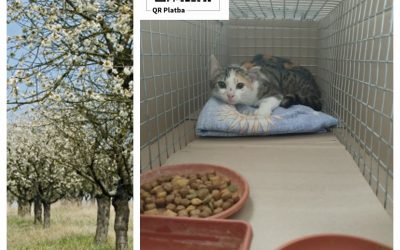 PROJEKT FELITI KASTRUJE – PŘÍBĚH č. 10024
Častokrát začíná náš příběh tím, že p…