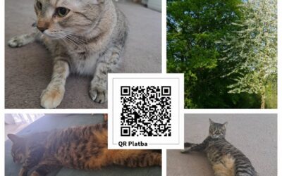 PROJEKT FELITI KASTRUJE – PŘÍBĚH č. 10056

Jihomoravský kraj přináší příběh paní…