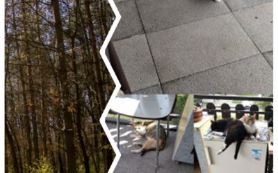 PROJEKT FELITI KASTRUJE – PŘÍBĚH č. 10059

Možná si pamatujete i na příběh paní …