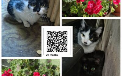 PROJEKT FELITI KASTRUJE – PŘÍBĚH č. 10081-10083

Zde nás o příspěvek požádala na…