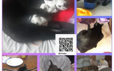 PROJEKT FELITI KASTRUJE – PŘÍBĚH č. 10112

Tady sdílíme příběh pana Aleše ze Stř…