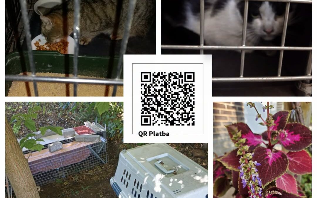 PROJEKT FELITI KASTRUJE – PŘÍBĚH č. 10129-10130

Paní Jana pracuje ve strojírens…