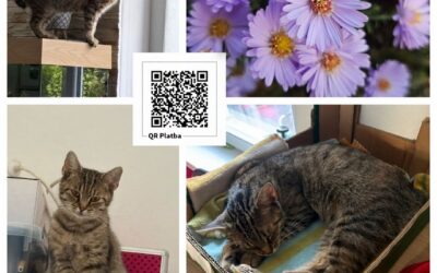 PROJEKT FELITI KASTRUJE – PŘÍBĚH č. 10142

Další z našich příběhů je z Ústeckého…