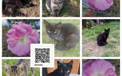 PROJEKT FELITI KASTRUJE – PŘÍBĚH č. 10148-10153

V lokalitě Rafanda v jižních Če…