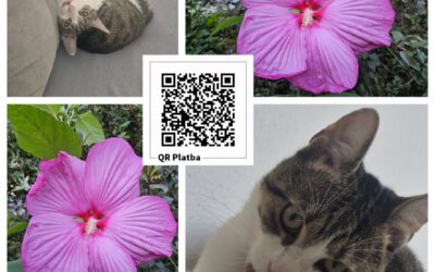 PROJEKT FELITI KASTRUJE – PŘÍBĚH č. 10177

Při projíždění městem Ostrava narazil…